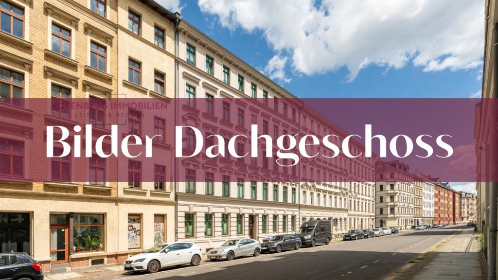 Bilder DG