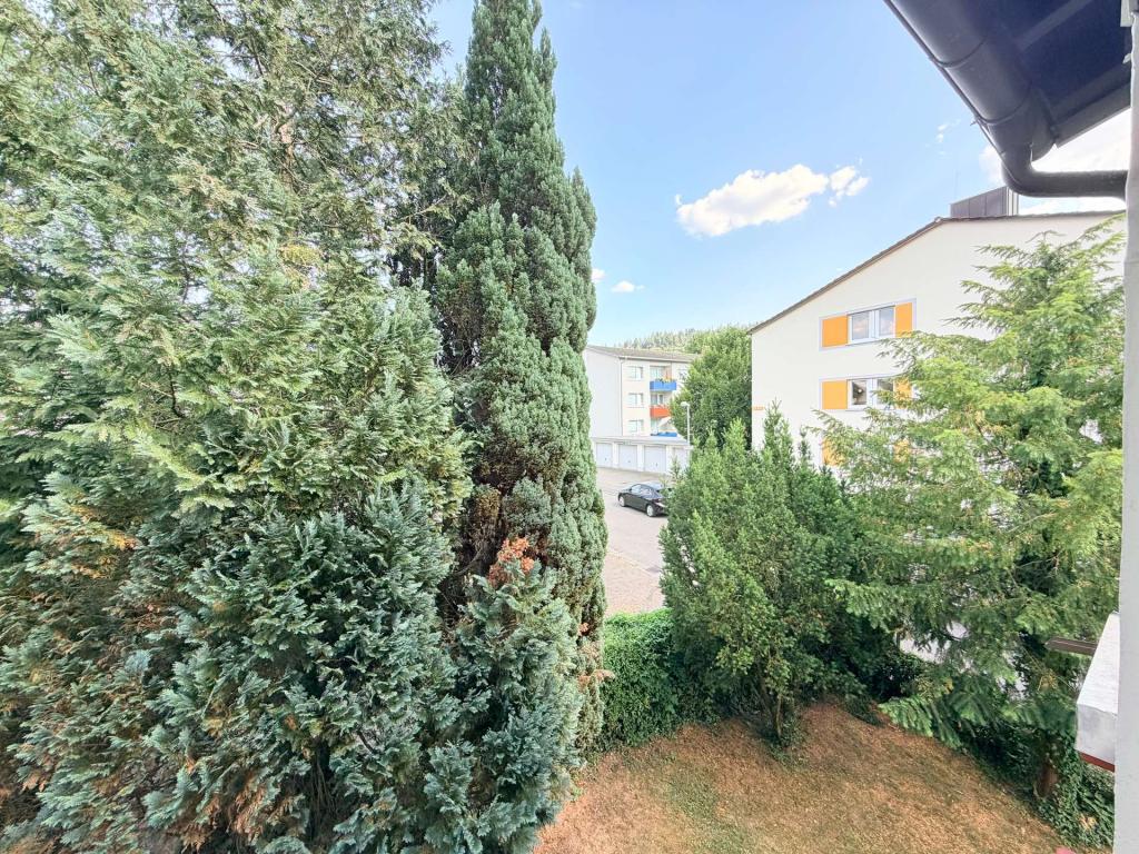 Zentrales WG-Zimmer nahe Uni & Innenstadt in Freiburg-Littenweiler - Foto 3