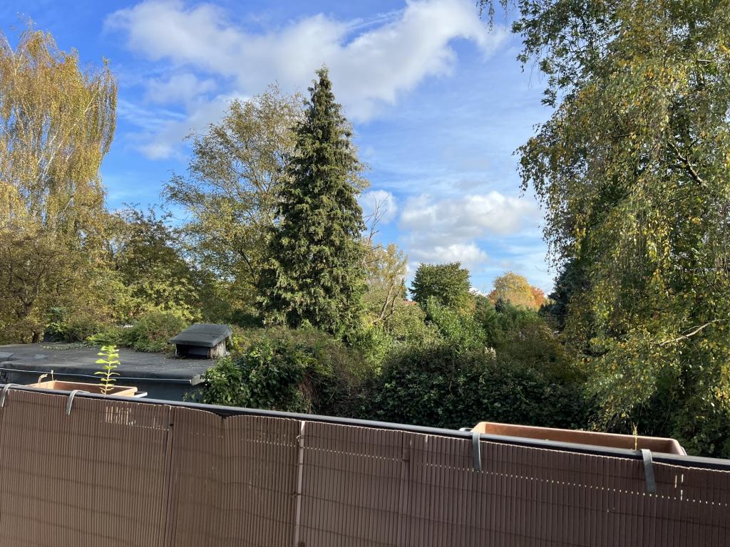 Blick ins Grüne