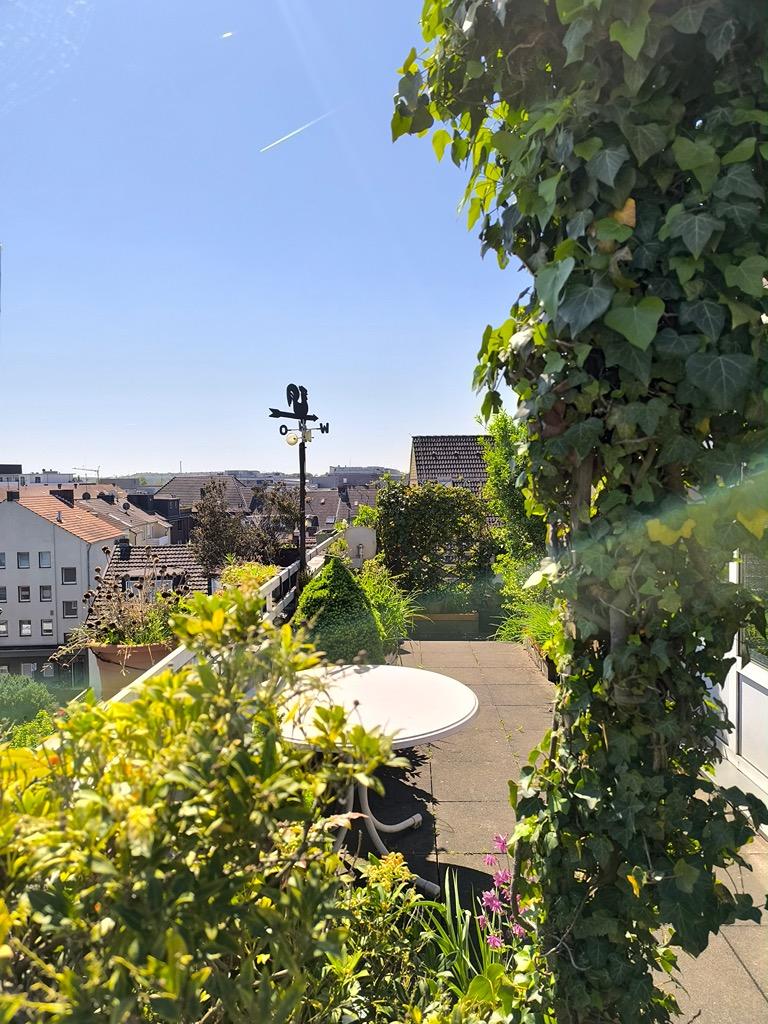 Dachterrasse .jpeg
