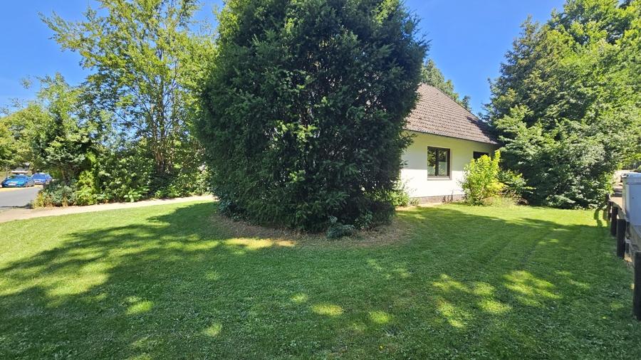 Familien, aufgepasst: Großes Haus zur Miete in Adolphsheide, Bad Fallingbostel - Photo 4