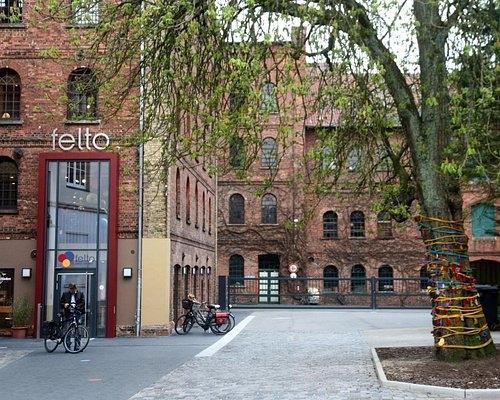 Frisch renovierte 3-Zimmer-Wohnung mit Loggia in Soltau - Foto 5