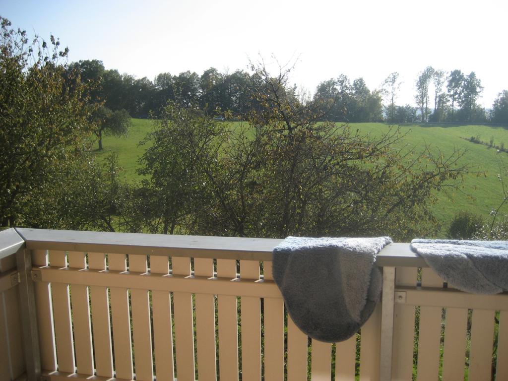 IHRE NEUE WOHNUNG IN IDYLISCHER LAGE - Photo 3