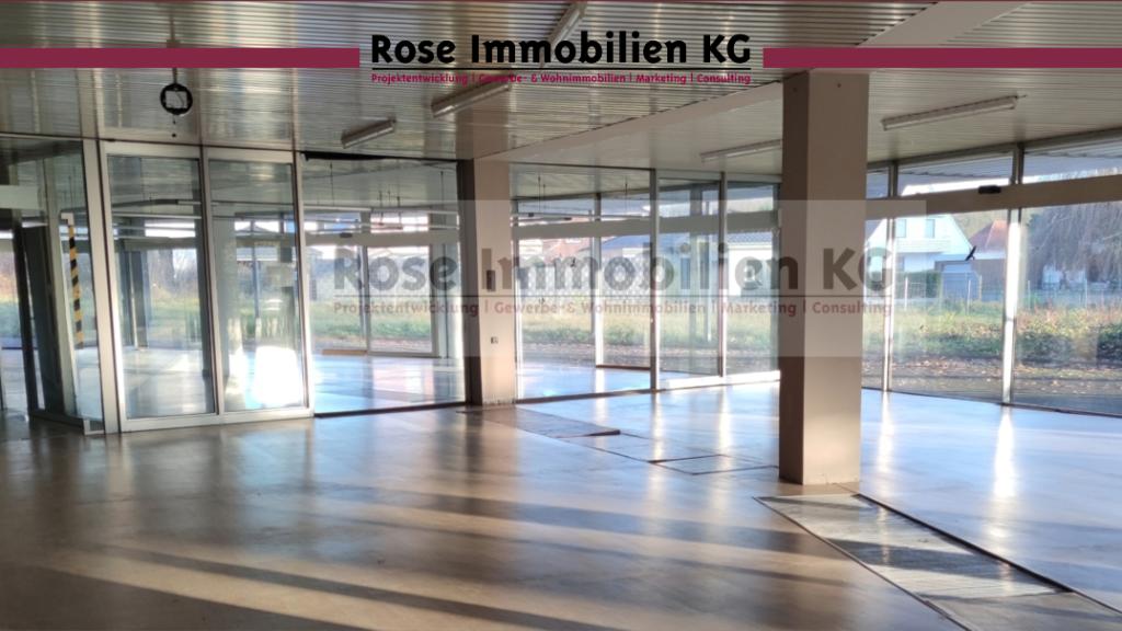 Ausstellung