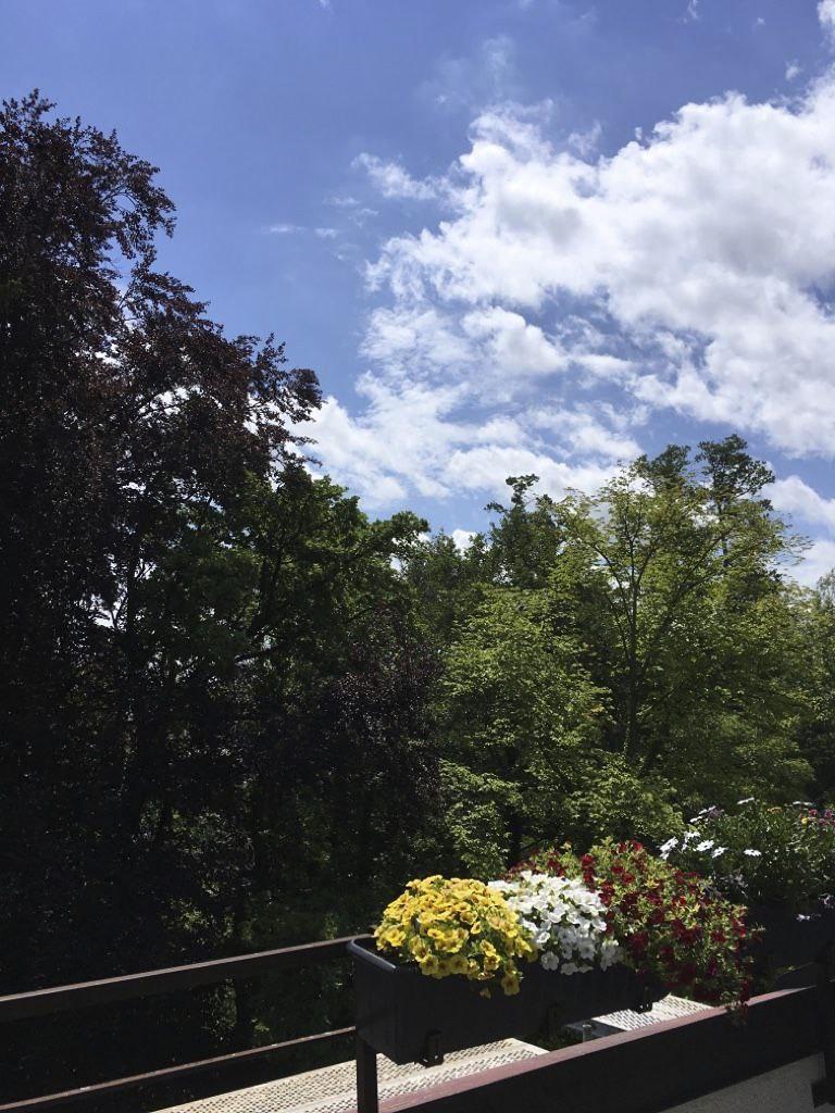 Klostergarten_11A.jpg