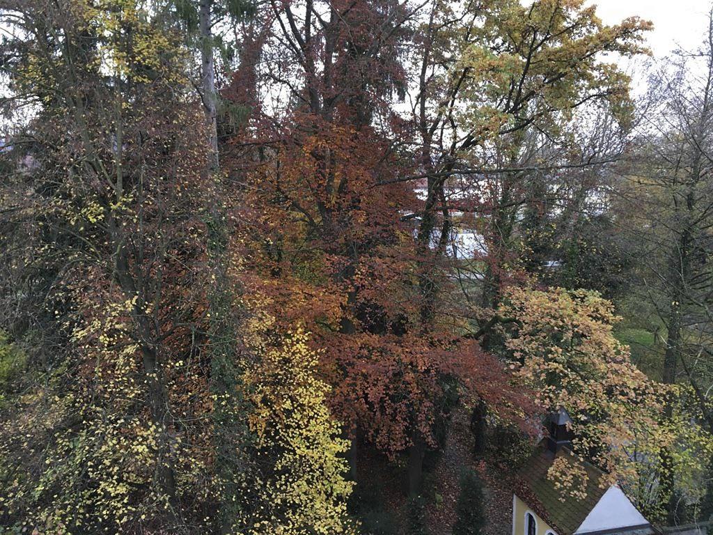 Klostergarten_13.jpg