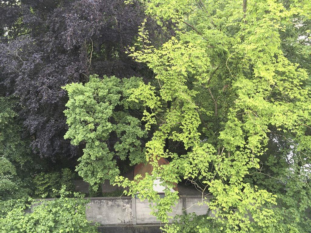 Klostergarten_14.jpg