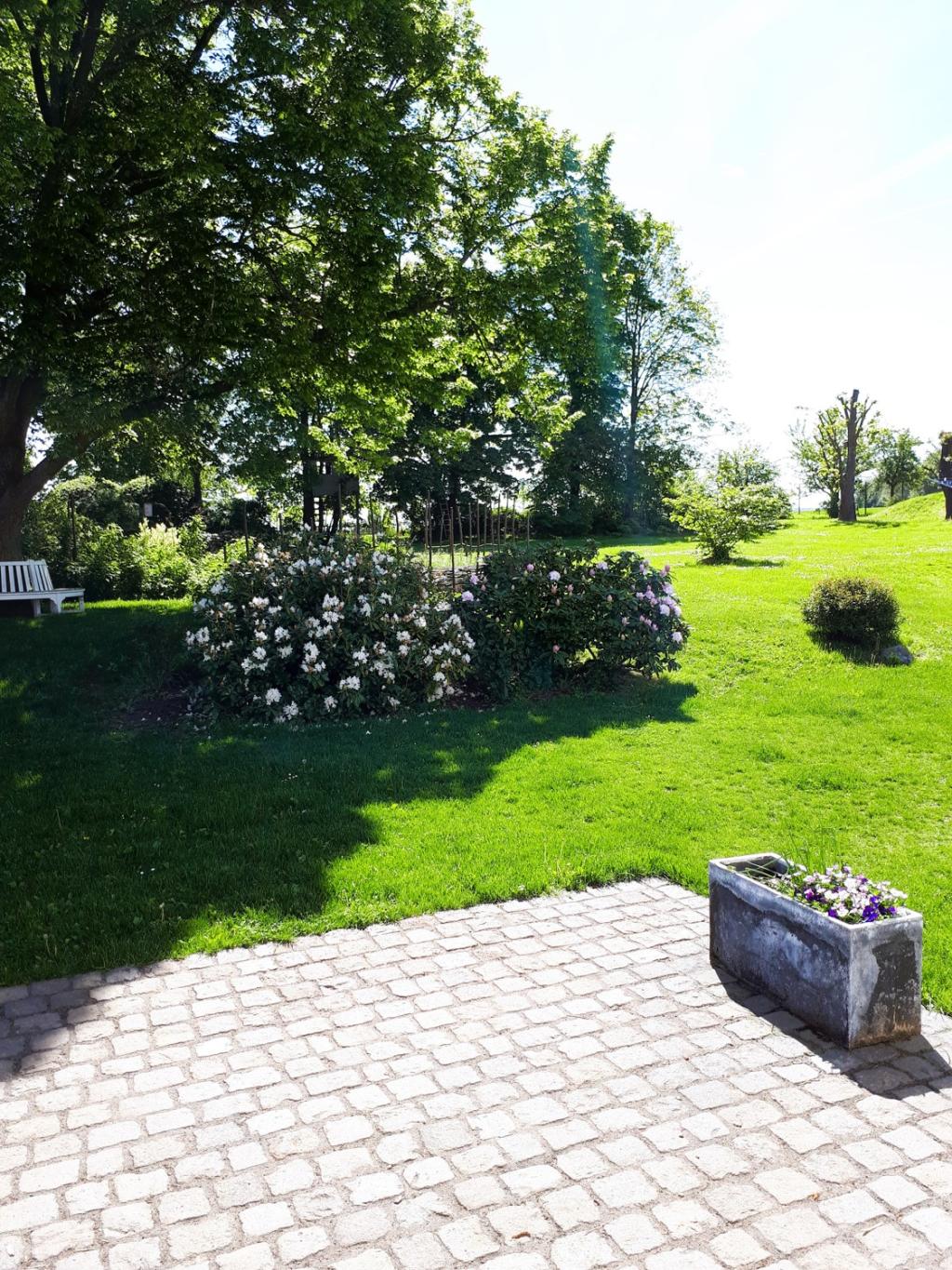 d1df33c4-9ad2-4912-ba4f-3689cc4ada2c.jpg