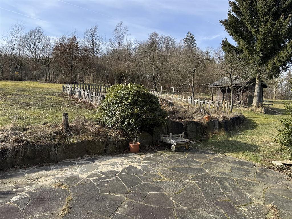 Bild5
