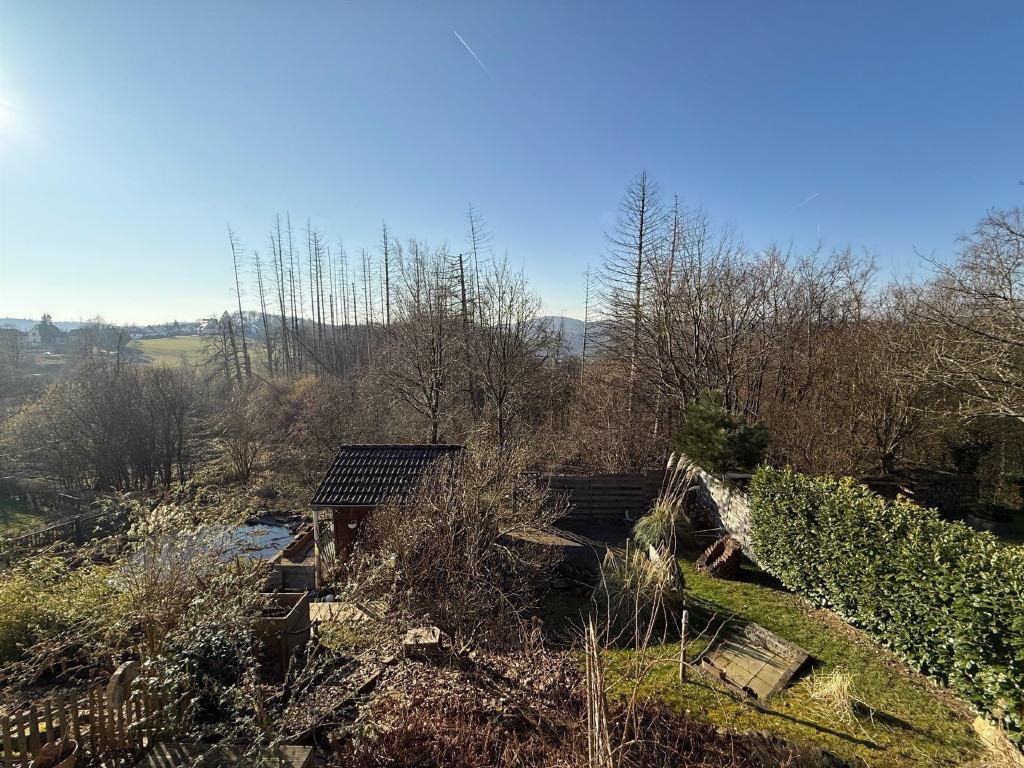Bild11