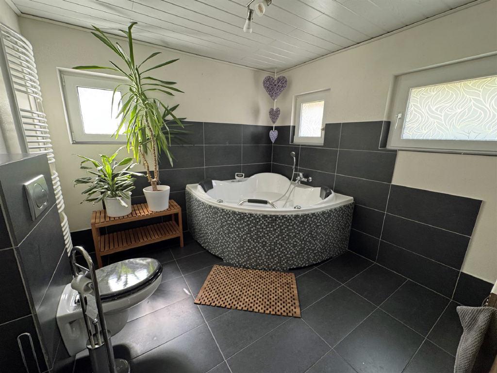 Bild11