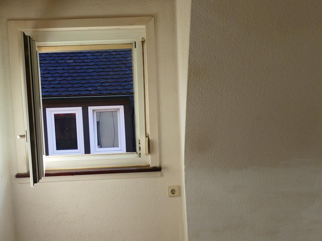 P1000206.JPG