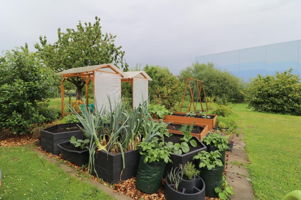 Gemüsegarten