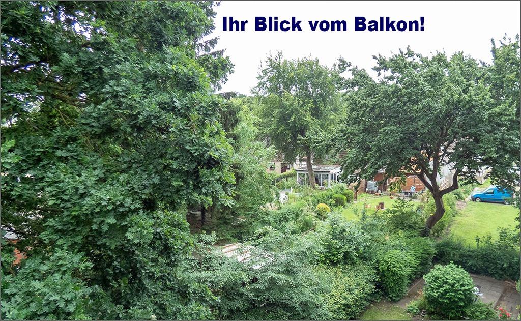 Blick.jpg