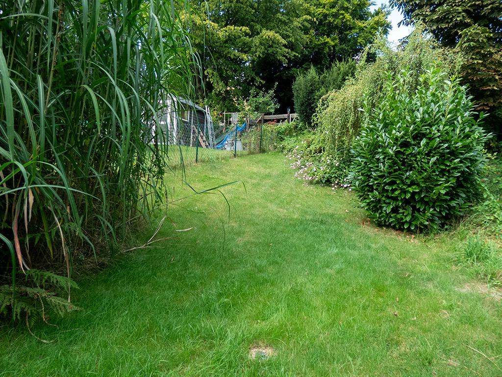 Garten.jpg