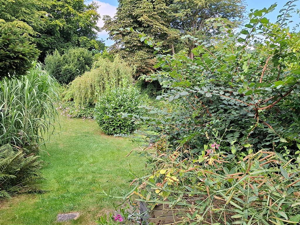 Garten.jpg