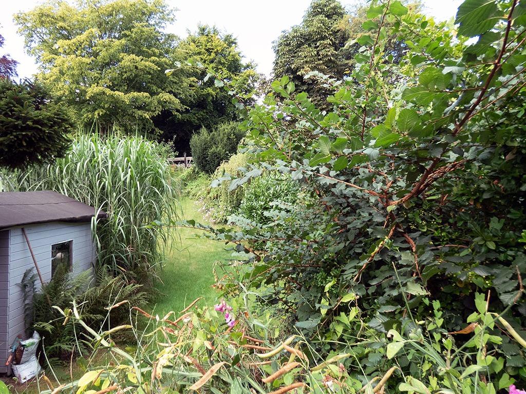 Garten.jpg