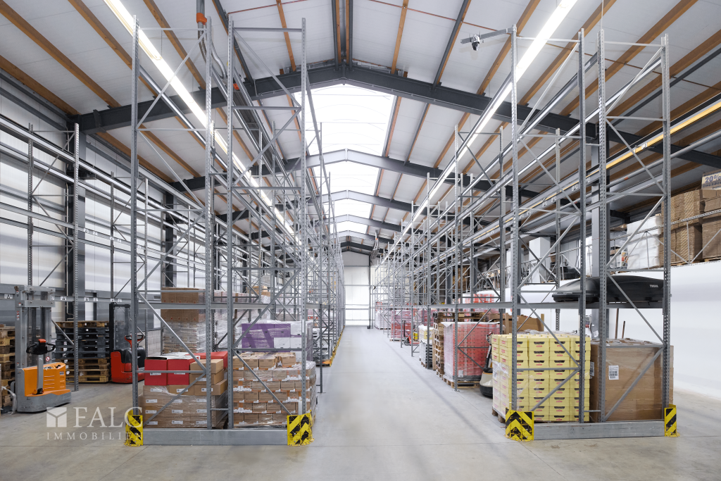 2721265-P1J2SuQZeLqjnWq3iEgKDGY4-103_Flamischer Ring 4_20241221.png