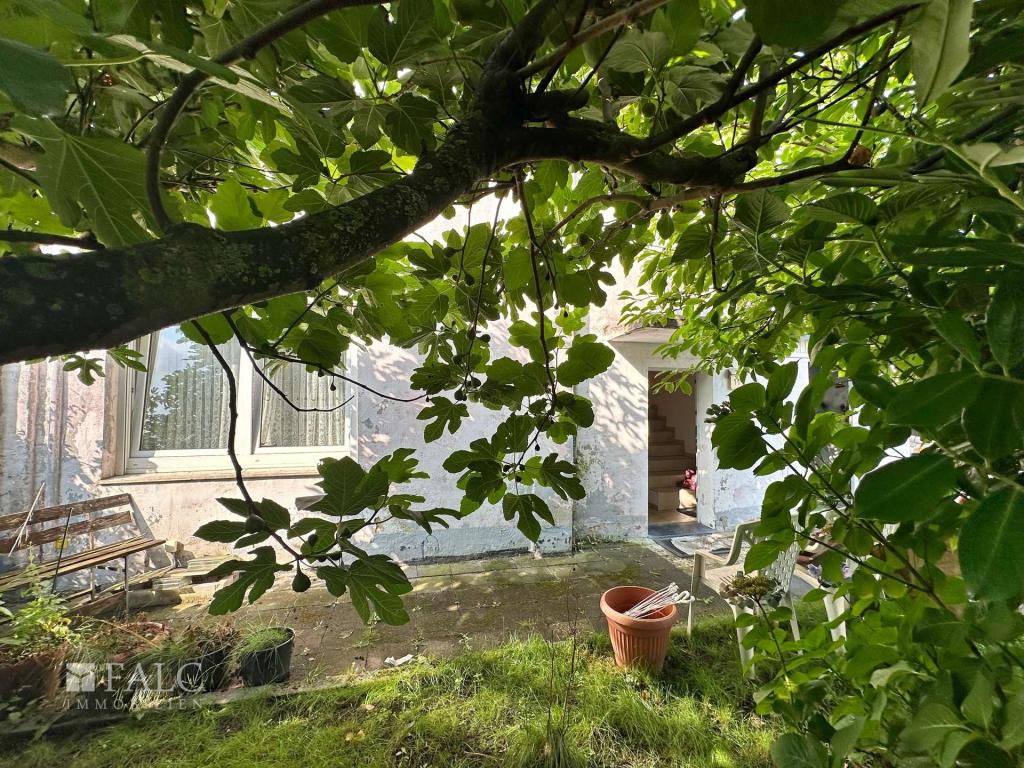 Feigenbaum
