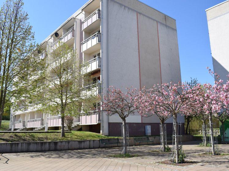 Frisch saniertes Stadtnest mit Balkon – perfekt für Singles, Paare & kleine Familien - Photo 1