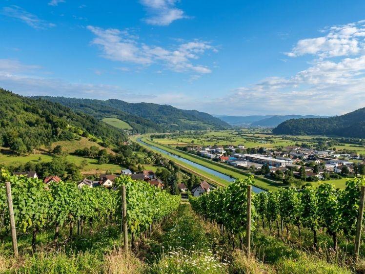 Lichtdurchflutete und gemütliche 2 Zimmer Etagenwohnung in Biberach im Kinzigtal - Photo 1