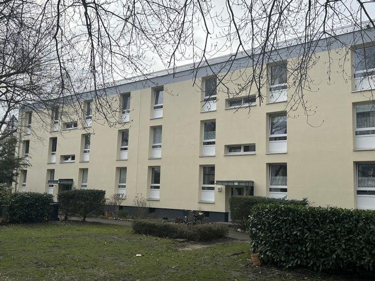 Wohnung, 02. OG, links, Dresdener Ring 37 - Foto 1