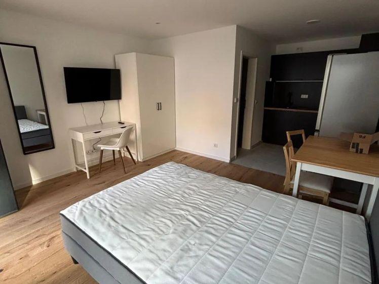 Atraktives Single Appartment – ab sofort / Obere Baustraße 14, Nürnberg WE15 / Zi.1 - Photo 1