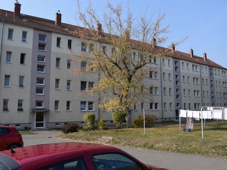 2-R-Wohnung nähe Stadtpark - Photo 1