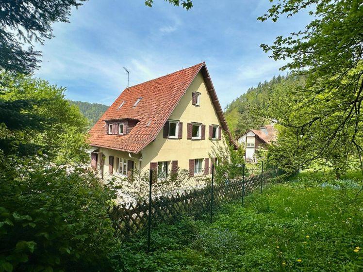 Burgblick - castle view - großzügiges Schwarzwaldhaus in Bad Liebenzell - huge Black Forest house! Ab/From October - Photo 1
