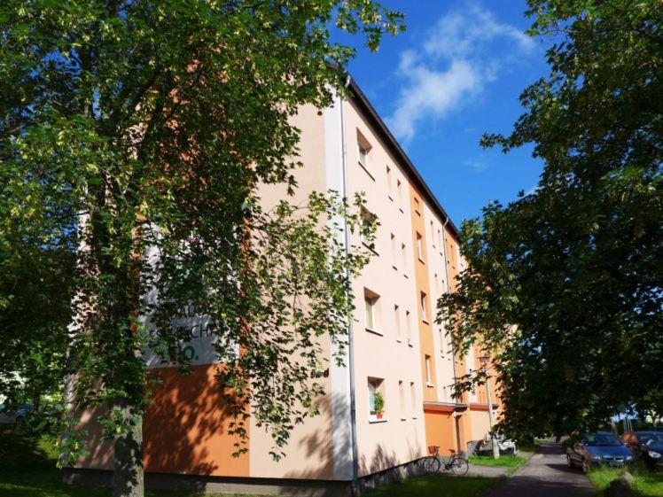 Bequeme Wohnung in grüner, ruhiger Lage! - Photo 1