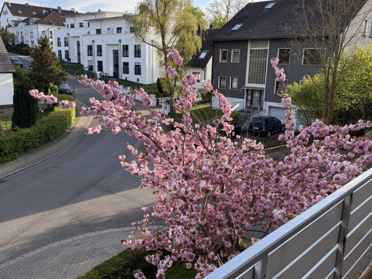 Frisch renovierte 85 m² warten aus Sie! , 3. Zimmer, Küche, Bad, Gäste WC u. Balkon Do-Wellinghofen - Photo 1