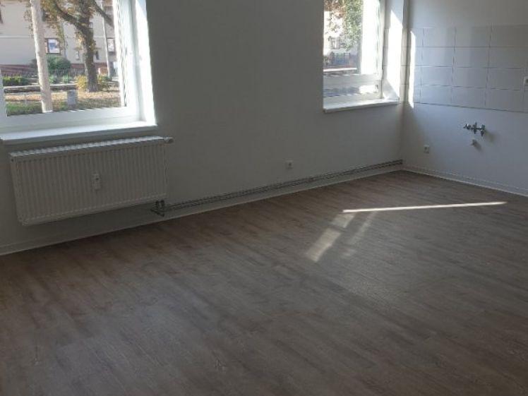 Charmantes Single-Apartment mit offener Küche und Duschbad im beliebten Musikerviertel - Foto 1
