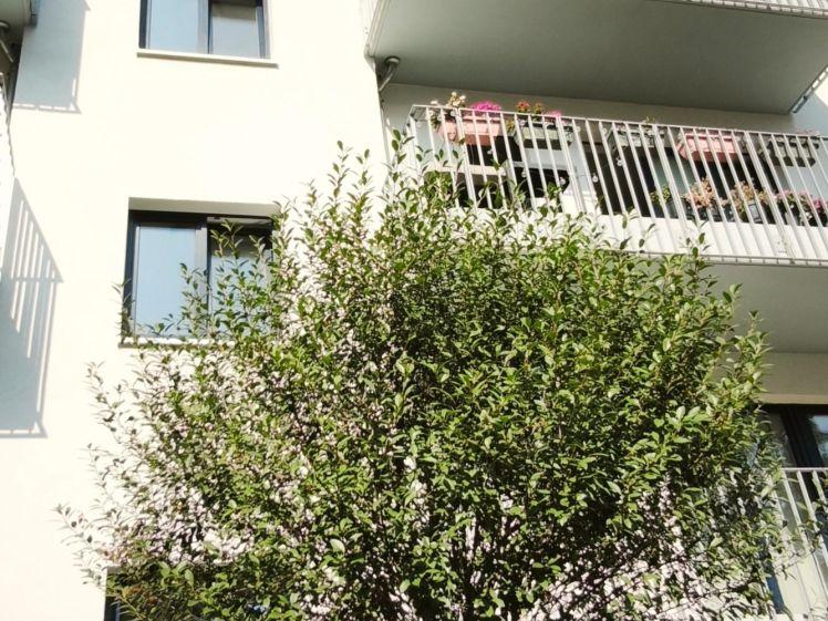 Schöne DG-Wohnung mit Balkon in zentrumsnaher Wohnlage! Neubau + hochwertige EBK + FuBo-Heizung + WANNE+BALKON + OFFENE KÜCHE - Foto 1