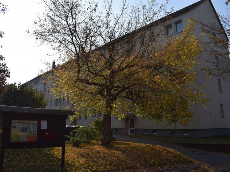 3-R-Wohnung mit Balkon - Foto 1