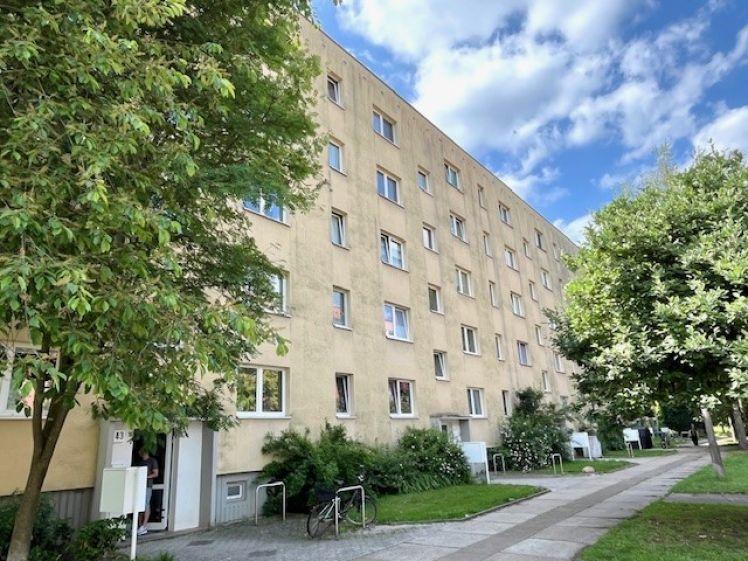 2-Raum Erdgeschosswohnung ab September 2026 zu vermieten. - Foto 1