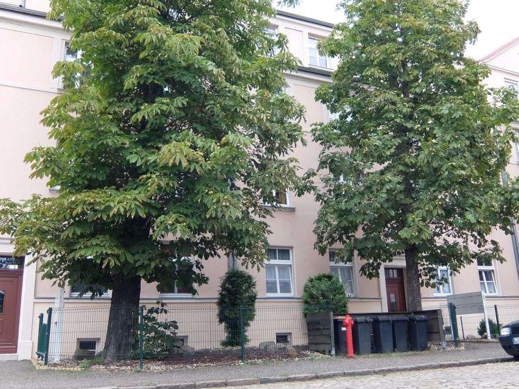 Böhlitz-Ehrenberg: ruhige 2-Zimmer-Wohnung mit Balkon, Einbauküche , Tageslichtbad - Foto 1