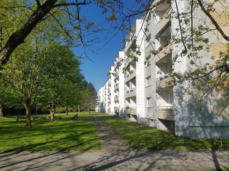 Hier wartet Ihr neues Zuhause! Hübsche Wohnung sucht Nachmieter - Foto 1