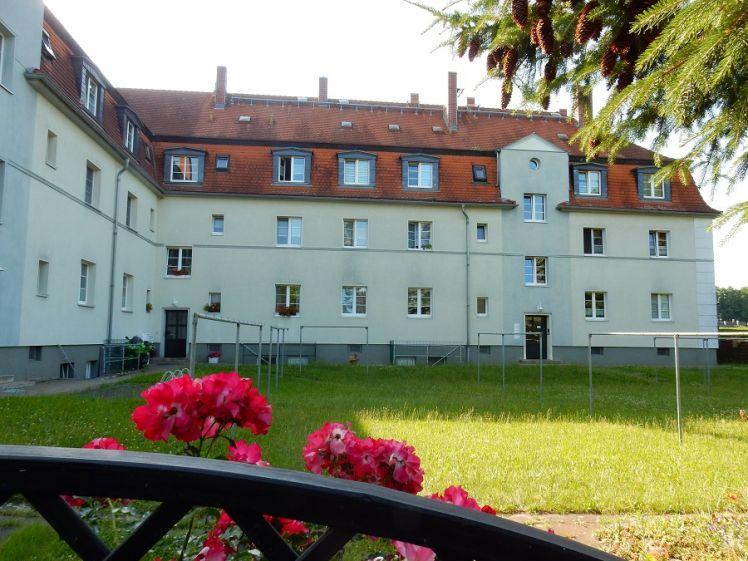 Helles Wohnglück im Grünen: Charmante Wohnung mit Gartenanteil und familiärer Hausgemeinschaft - Photo 1