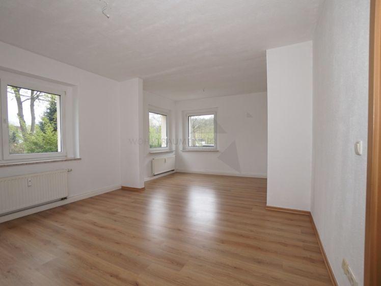 Gemütliche 2-Raum-EG-Wohnung nahe Wilkau‑Haßlau - Foto 1