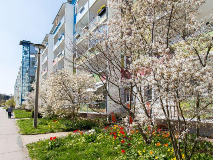 Gestalten Sie mit! Ihre individuelle 3-Raum-Wohnung - Photo 1