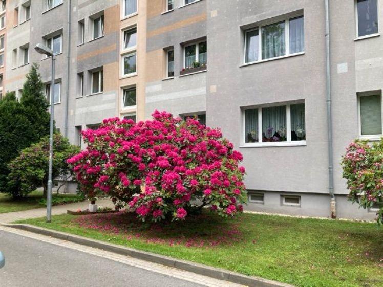 Hübsche Wohnung in ruhiger Seitenstraße - Foto 1