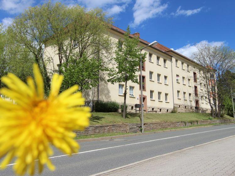 Praktisch geschnittene 3-Raum Whg. in Leumnitz! - Foto 1