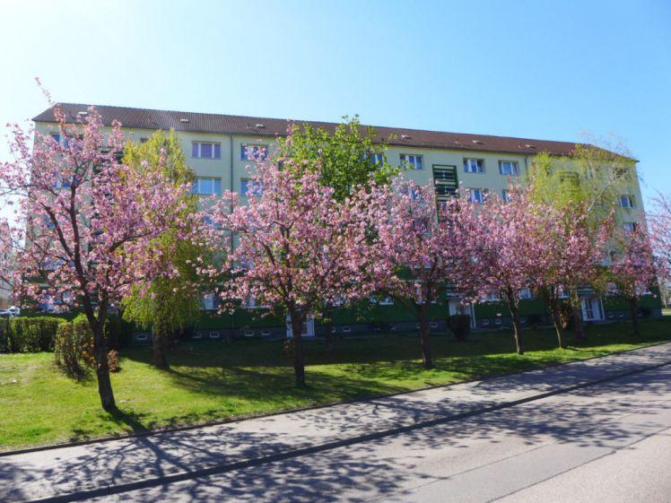 Dachgeschosswohnung zum Wohlfühlen - Photo 1