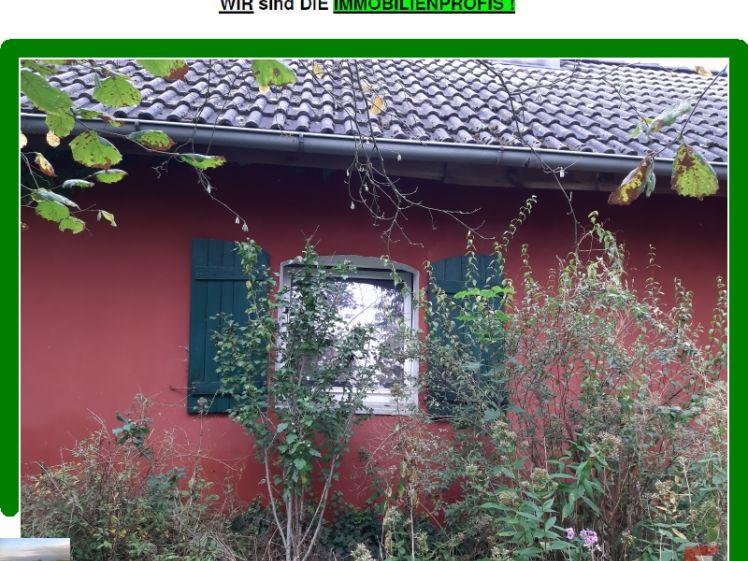 *** Wohnung wie Doppelhaushälfte *** Garten und Stellplatz/Garage optional möglich - Foto 1