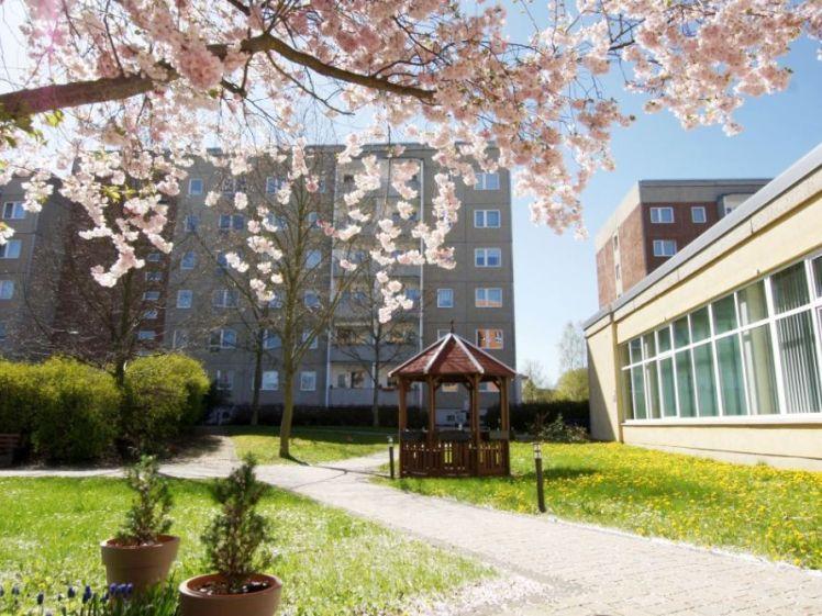schicke 2 Raum Wohnung in ruhiger Wohnlage - Foto 1