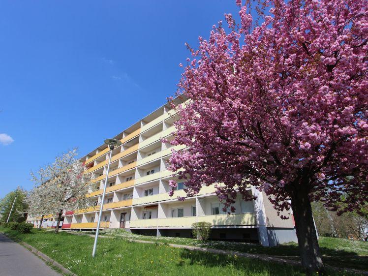 Wohnen mit Concierge und Aufzug - Photo 1