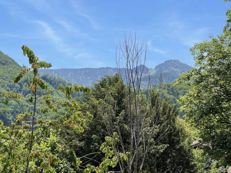 Bergblick und Gartennutzung - Foto 1