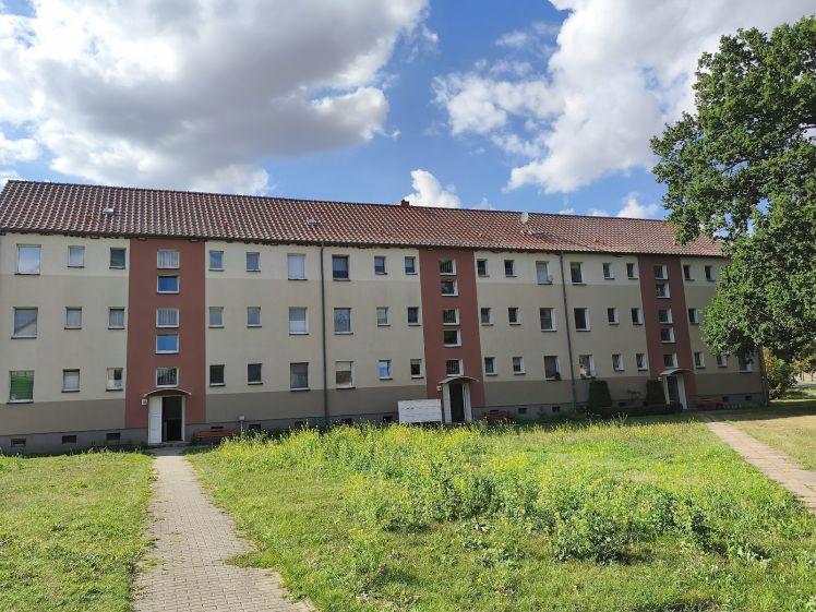 Ihr neues Zuhause im Erdgeschoss – Komfort und Natur direkt vor der Tür - Photo 1