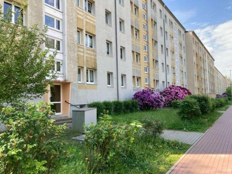 Frisch sanierte sonnige Wohnung mit Blick ins Grüne! - Photo 1