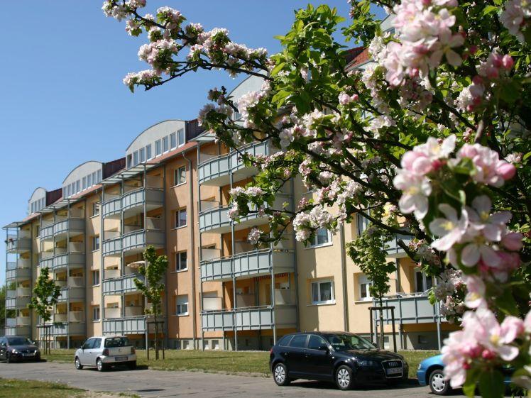 ++ Lassen sie die Seele baumeln ++ - Photo 1